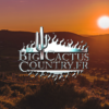 THE BIG CACTUS COUNTRY 